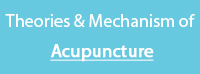 Theories and Mechanism of Acupuncture